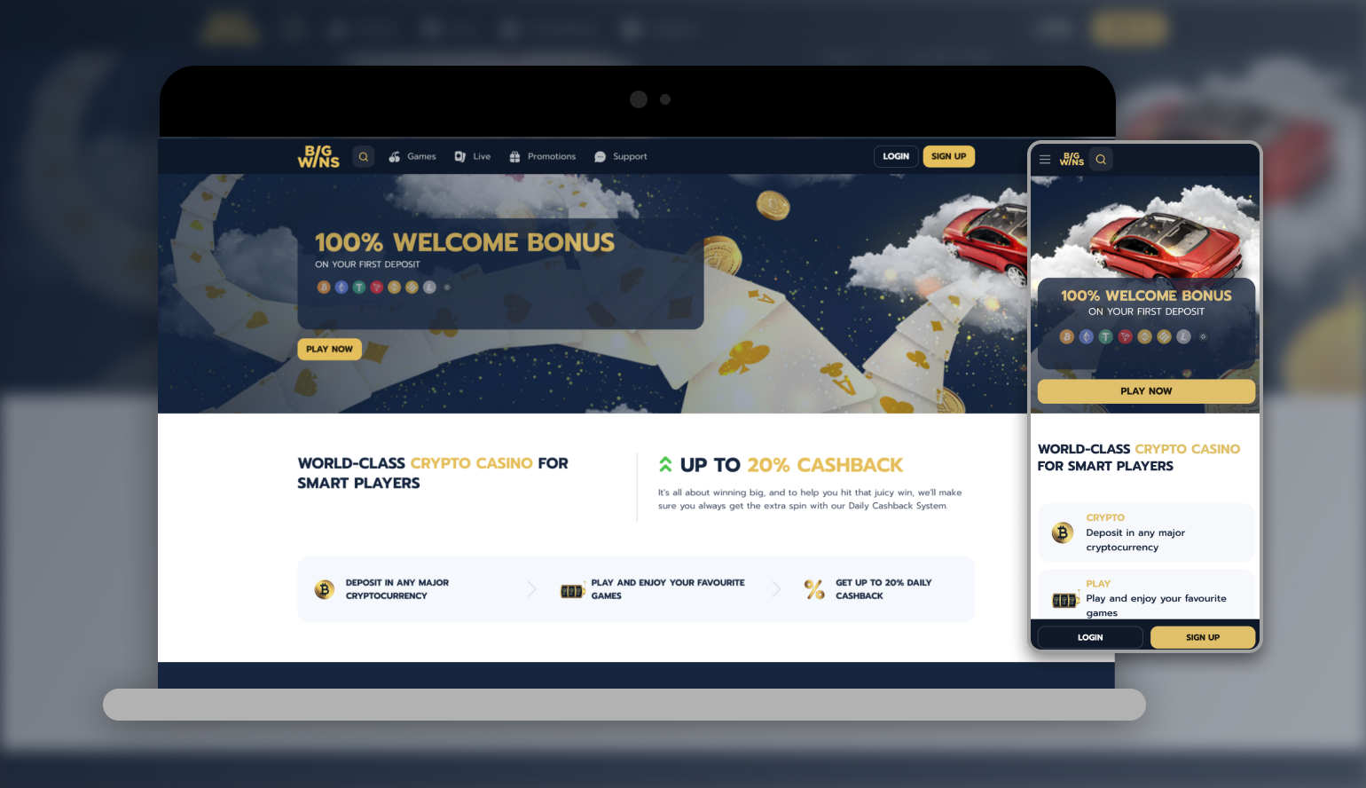 BigWins Casino Review | What we discovered! (Updated)