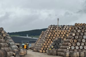 Bourbon's Bitter Downturn: Sales and Stocks Hit Hard