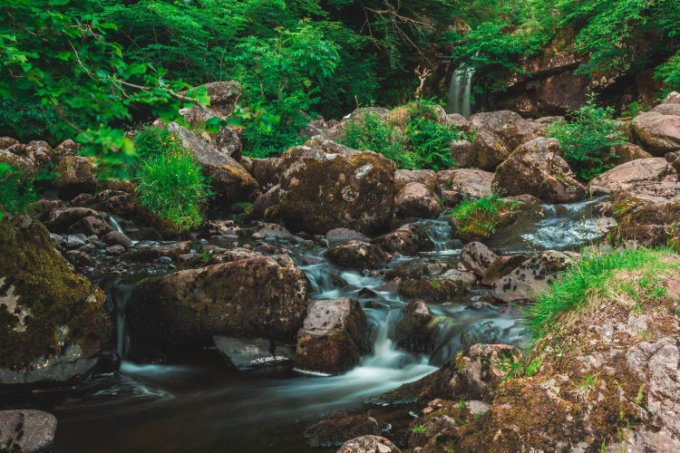 Scotland Stream