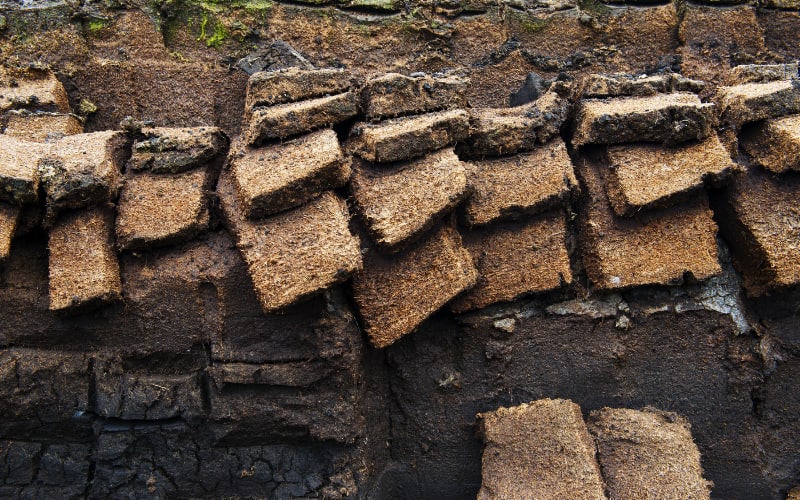 Scotland Peat Bog