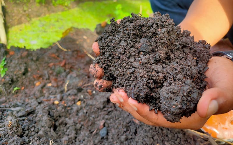 Revolutionising Whisky Production Introducing the Groundbreaking ColdPeated Process