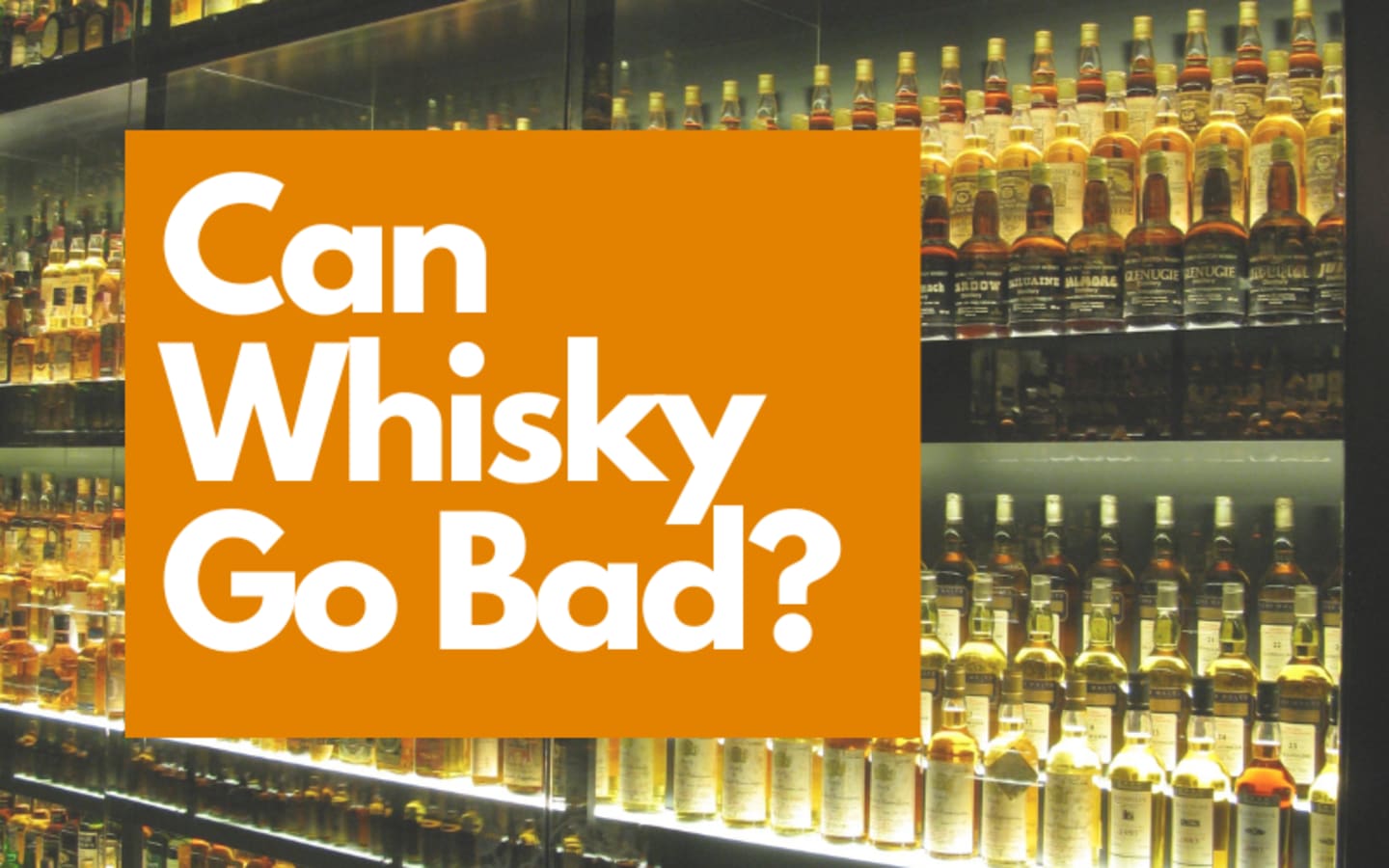 Can Whisky Go Bad The Truth About the Shelf Life of Your Favourite Spirit