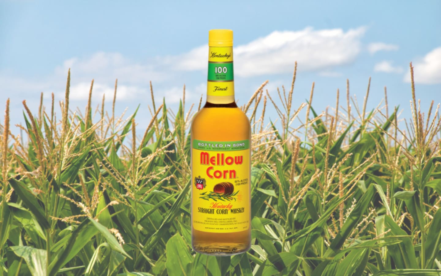 Is This 20 Bottle the Most Underrated Whiskey in the World