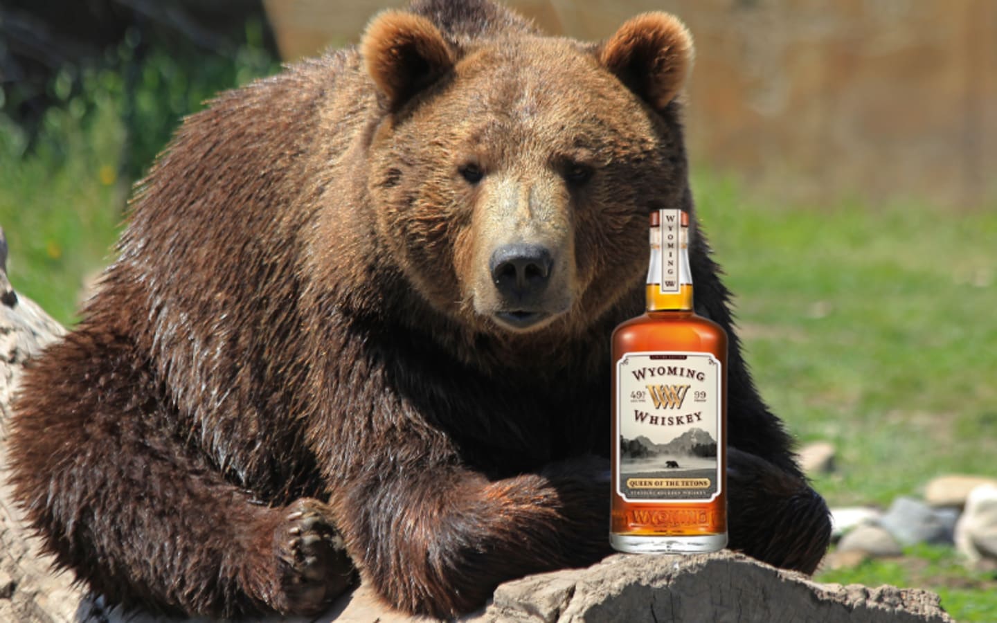 Wyoming Whiskey Pays Tribute to Grizzly 399 with New Bourbon Release Queen of the Tetons