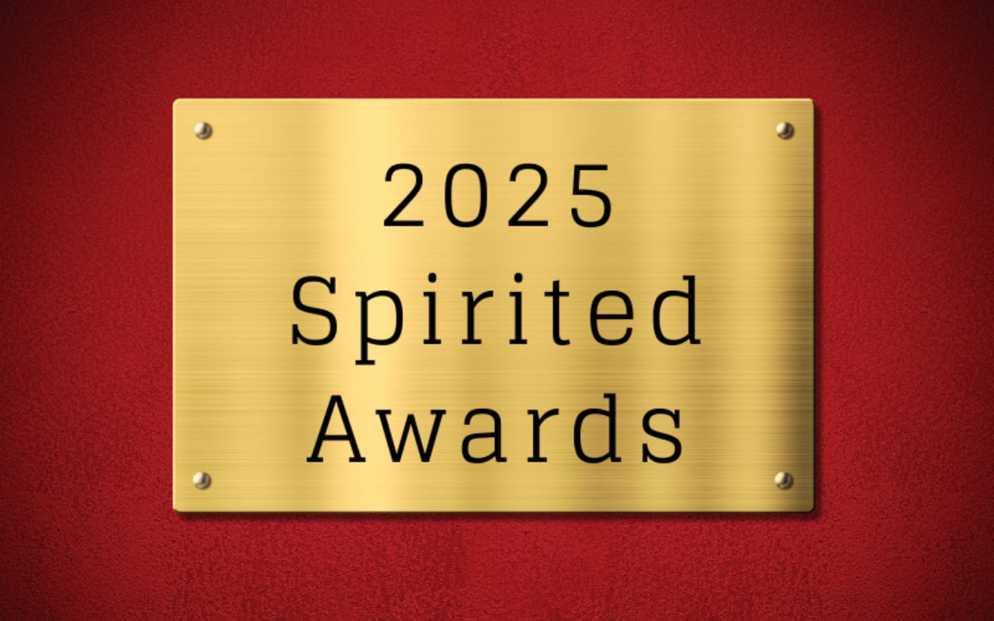 The 2025 Spirited Awards Regional Top 10 Honorees for Middle East Africa