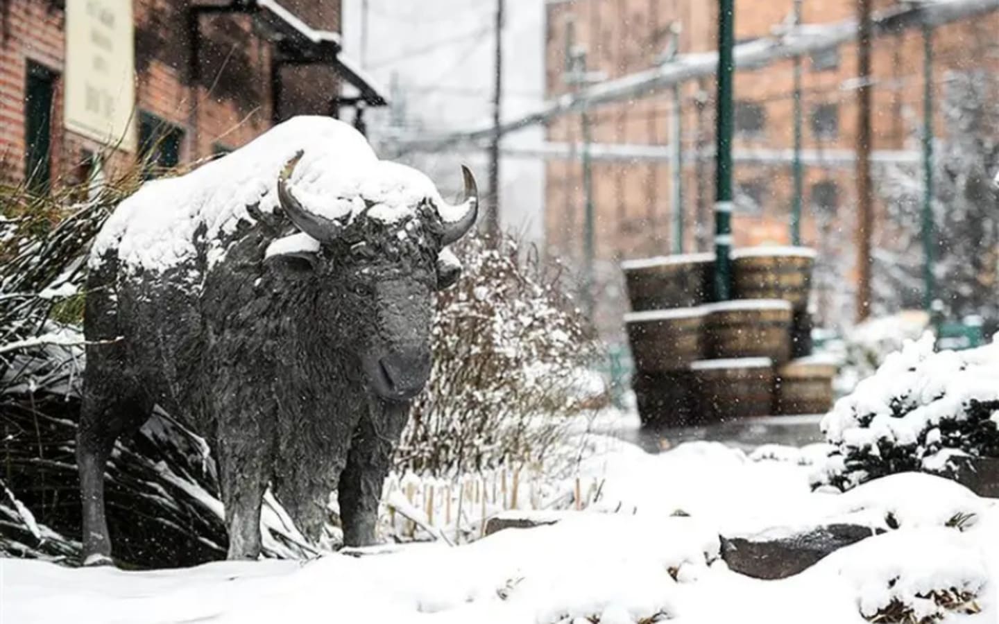 Buffalo Trace Launches Winter Bourbon Festival