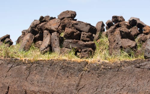 How Ending The Sale Of Peat Impacts The Whisky Landscape