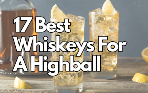 17 Best Whiskeys For A Highball