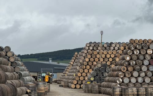 Bourbon's Bitter Downturn: Sales and Stocks Hit Hard