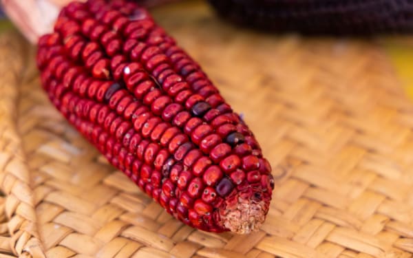 Is This Bourbon’s Next Big Idea?