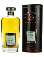 Glenburgie 23 Year Old 1995 Cask Strength (cask 6541) - (Signatory)