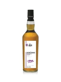 ancnoc 18 year old