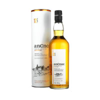 ancnoc 12 year old