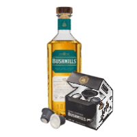 Bushmills 10 Single Malt