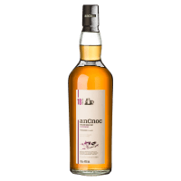 ancnoc 18 year old