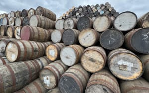 Wave of Whiskey Bankruptcies Hits US