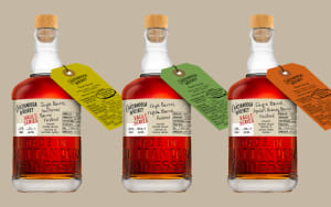 Chattanooga Just Opened the Vault – You Won’t Believe What’s Inside