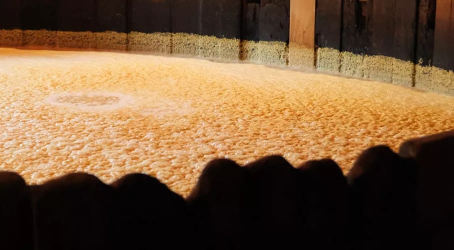 Yeast and a sugary liquid known as wort being mixed in a large fermentation container