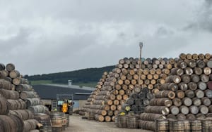 Bourbon's Bitter Downturn: Sales and Stocks Hit Hard