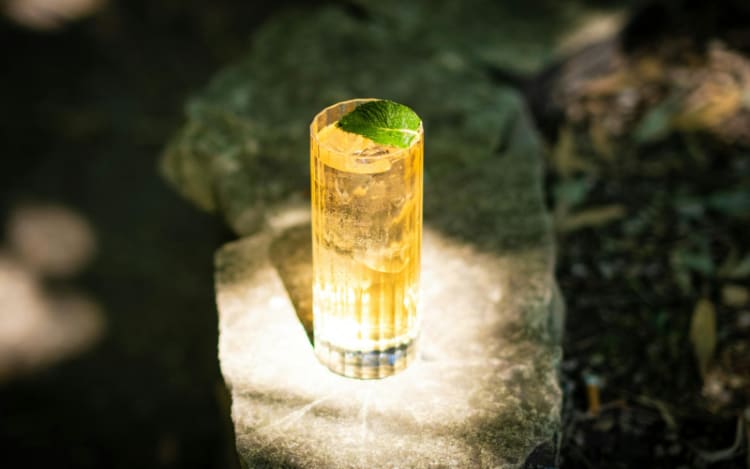 The Classic Japanese Highball