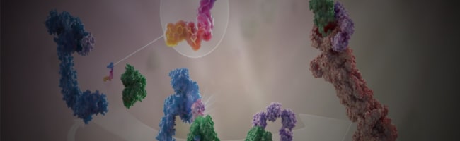 Targeted Protein Degradation: New Horizons in Medicinal Chemistry Tools