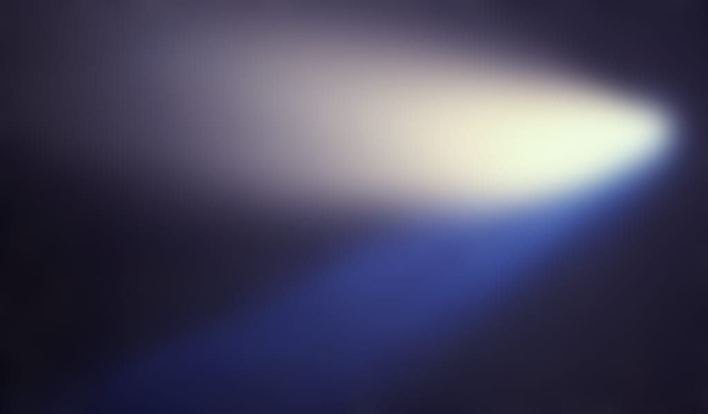 Behind the paper with Royal Society journals