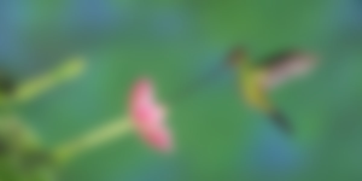 Ecology and evolution seminars