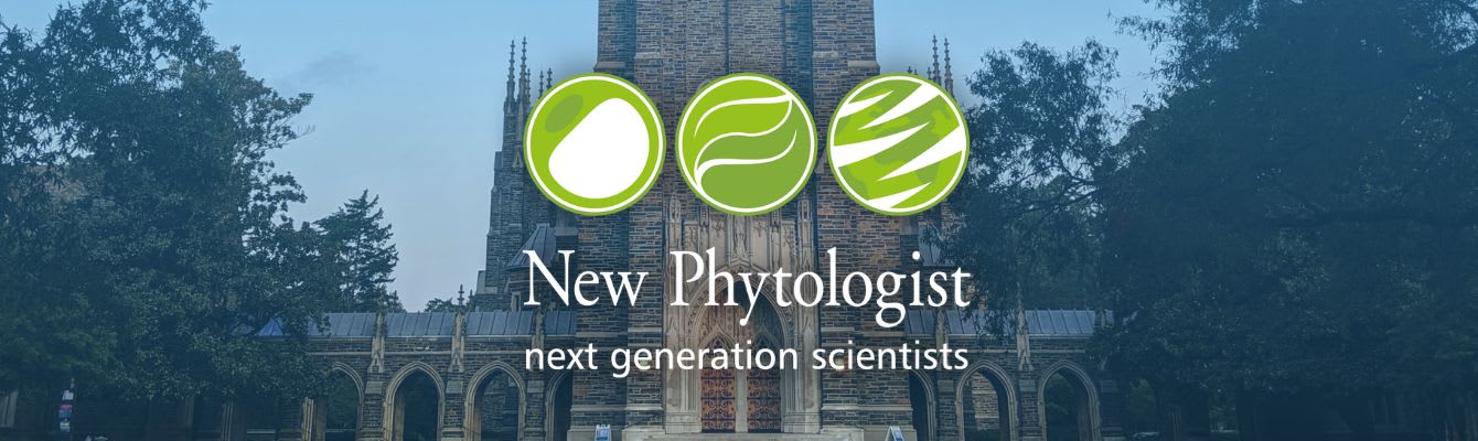 Cassyni | Research talks
