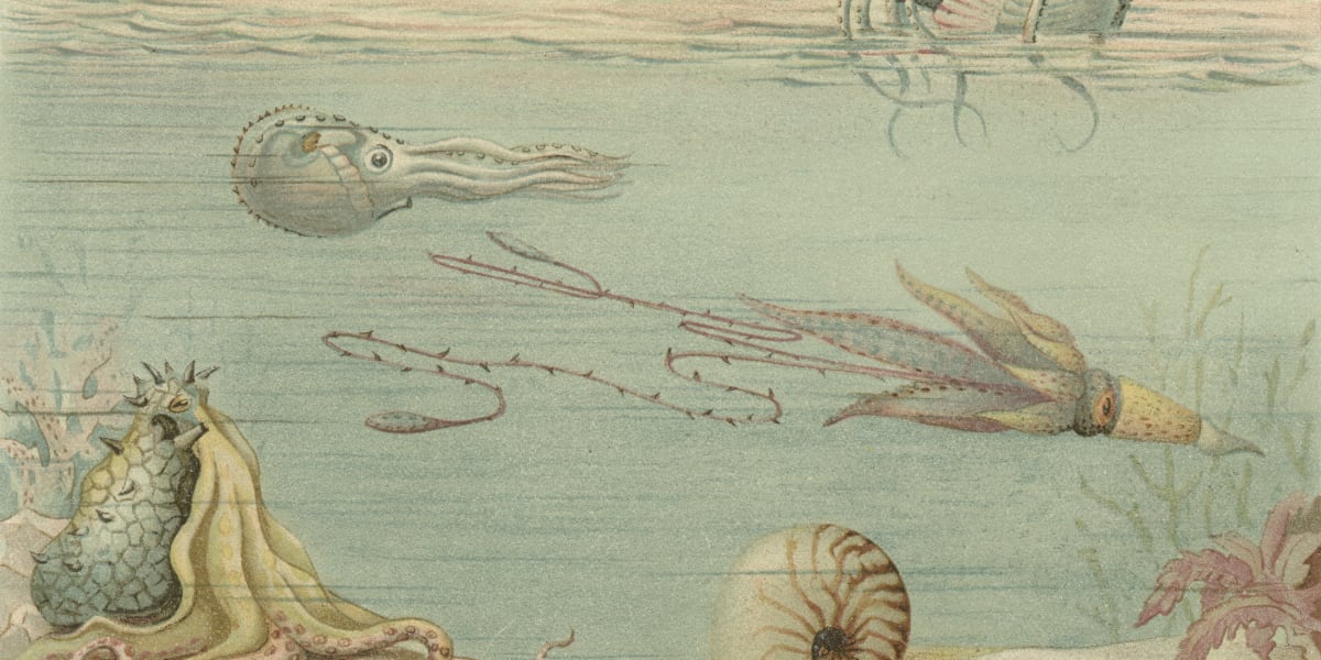 History of science seminars