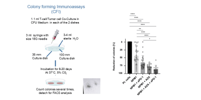 Specific T Cell Immune Responses Against Leukemic Cells, as well as Leukemic Progenitor Cells, in Acute Myeloid Leukemia