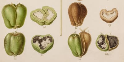 Roundtable: Science in the Making