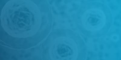 agenT-797: Allogeneic iNKT Cell Therapy for the Treatment of Cancer - Complete Clinical Response in a R/R Germ Cell Tumor
