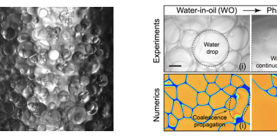 The Physics of Flowing Emulsions in Wall-Bounded Turbulence