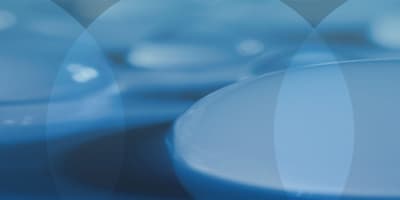 Wetting and swelling of elastic fibers