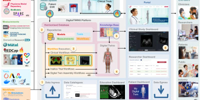 An update on the 12 Labours DigitalTWINS platform for supporting clinical translation of computational physiology workflows