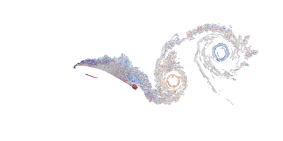 Static deep stall analysis augmented by numerically constrained turbulent flows
