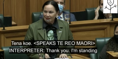 Kia ora koutou and welcome to this kōrero! NZSL interpreter strategies for rendering codeswitching (English/ Te Reo Māori) from spoken source texts