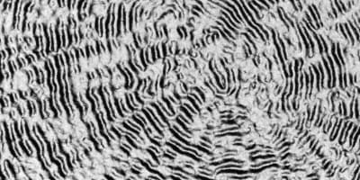 Capillary aggregation and surface waves in bacterial colonies
