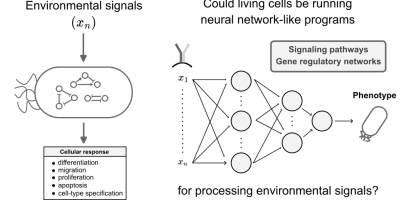 Pattern recognition in living cells through the lens of machine learning