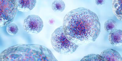 How many plasmids can bacteria carry? A synthetic biology perspective