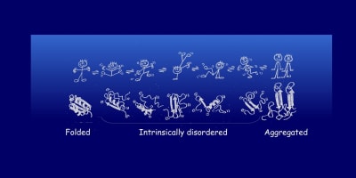 Addressing Neurodegenerative Diseases in Support of SDG  3: Good Health and Wellbeing: Recent Advances in Alzheimer’s and Other Neurodegeneration Research 