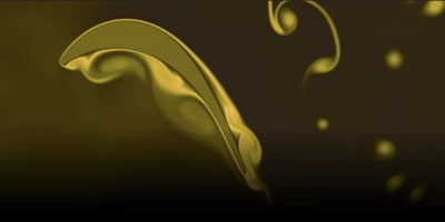Nektar++ updates and future developments