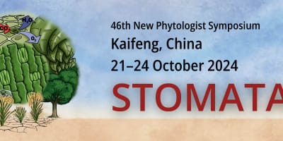 New Phytologist Now: Stomata