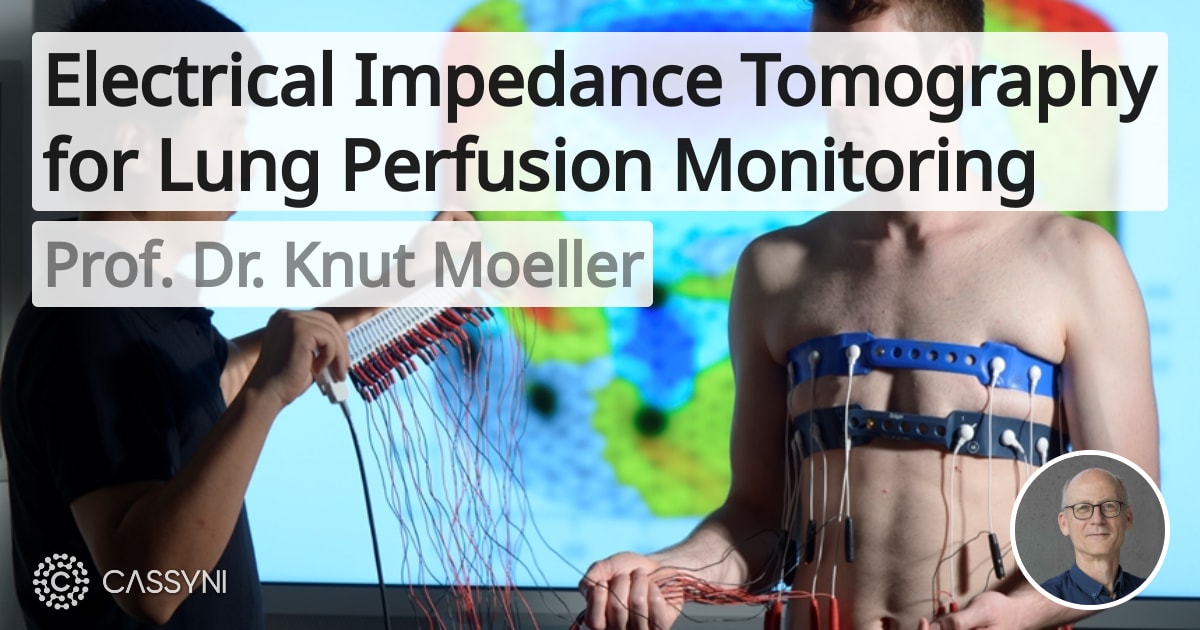Electrical Impedance Tomography for Lung Perfusion Monitoring
