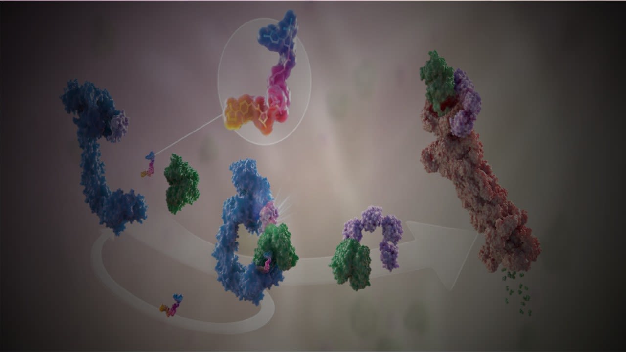 Targeted Protein Degradation: New Horizons in Medicinal Chemistry Tools - presented by Dr Moataz A. Shaldam