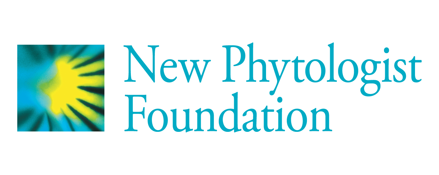 The New Phytologist Foundation