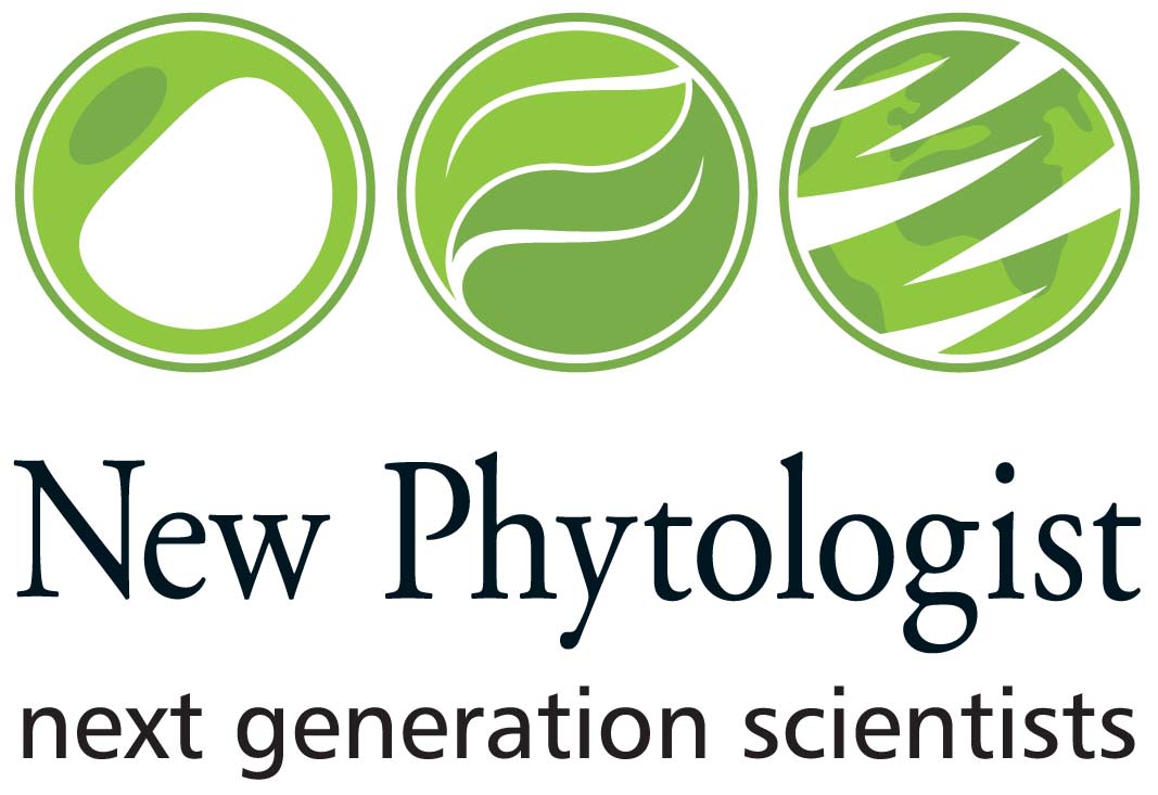 New Phytologist Foundation 