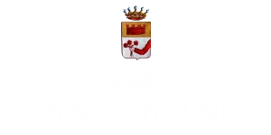 Logo of Castello di San Fabiano