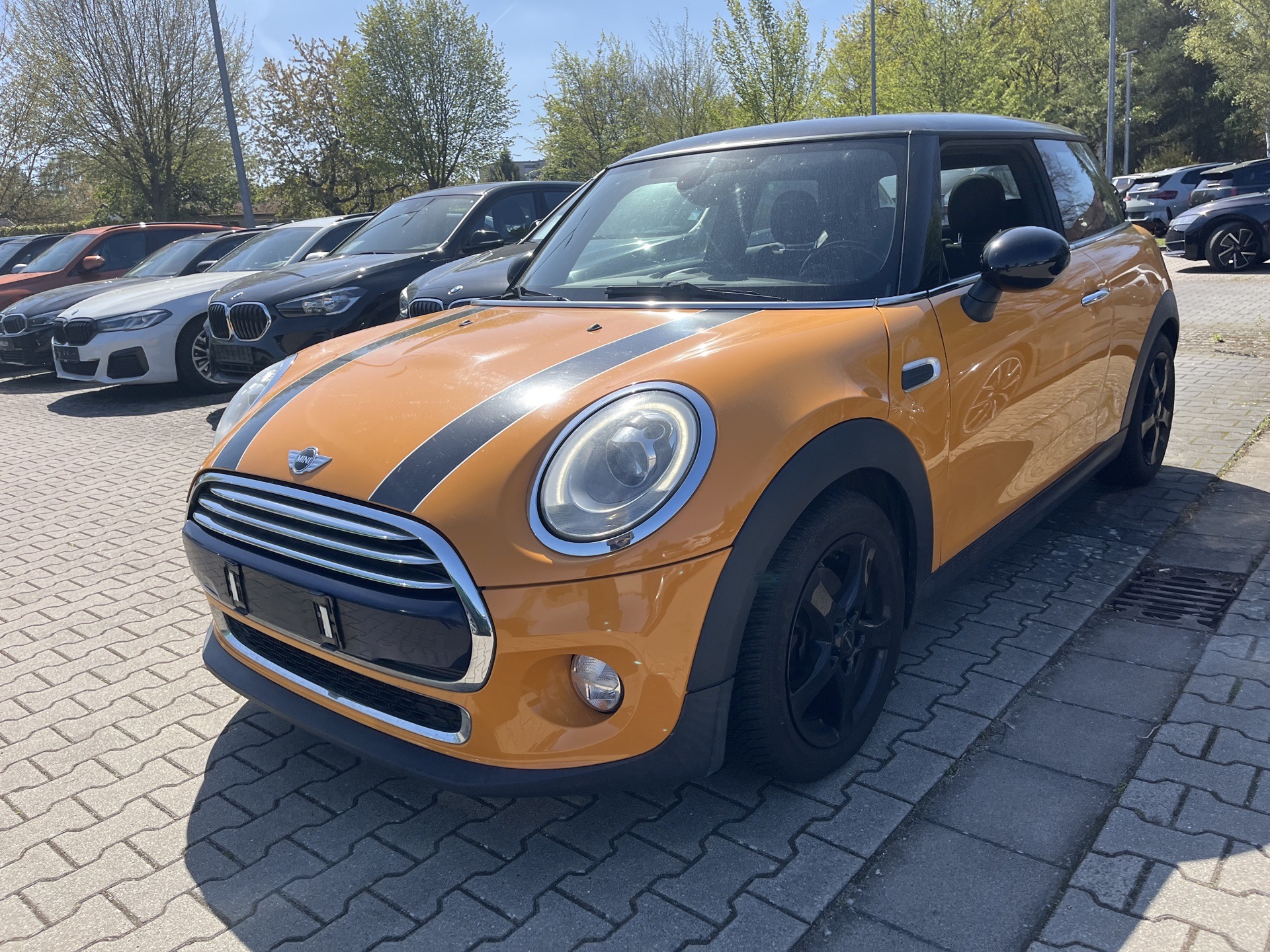 MINI 3-trg