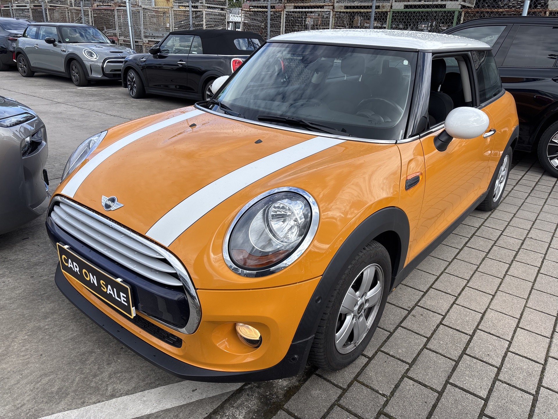 MINI 3-trg